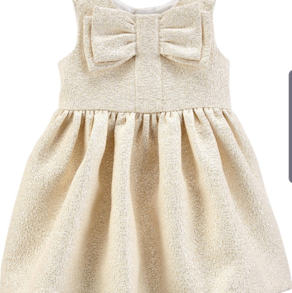 Gorgeous Newborn Dress